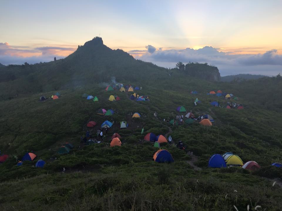 11009353_10153385660873833_5182585723712694365_n