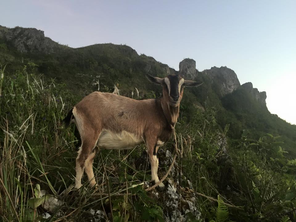 11011695_10153385659423833_7444067244489560486_n