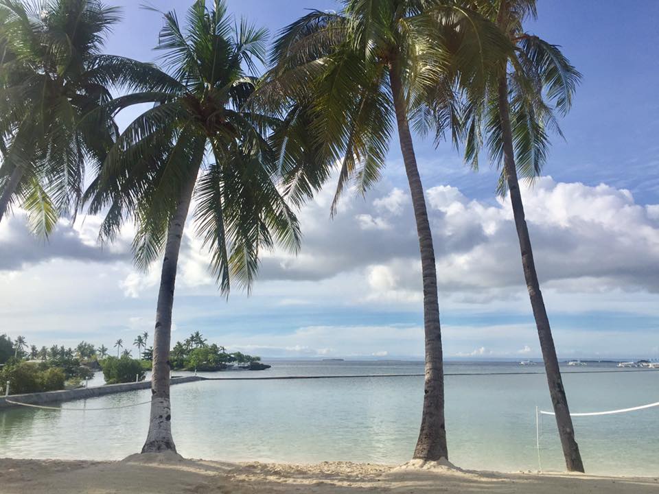 20992802_10155692820548833_8233133129163991872_n