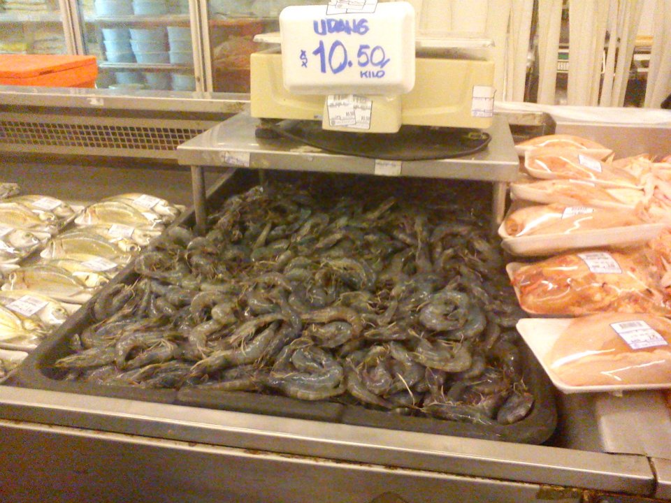 282680_10151118163123833_2033818752_n