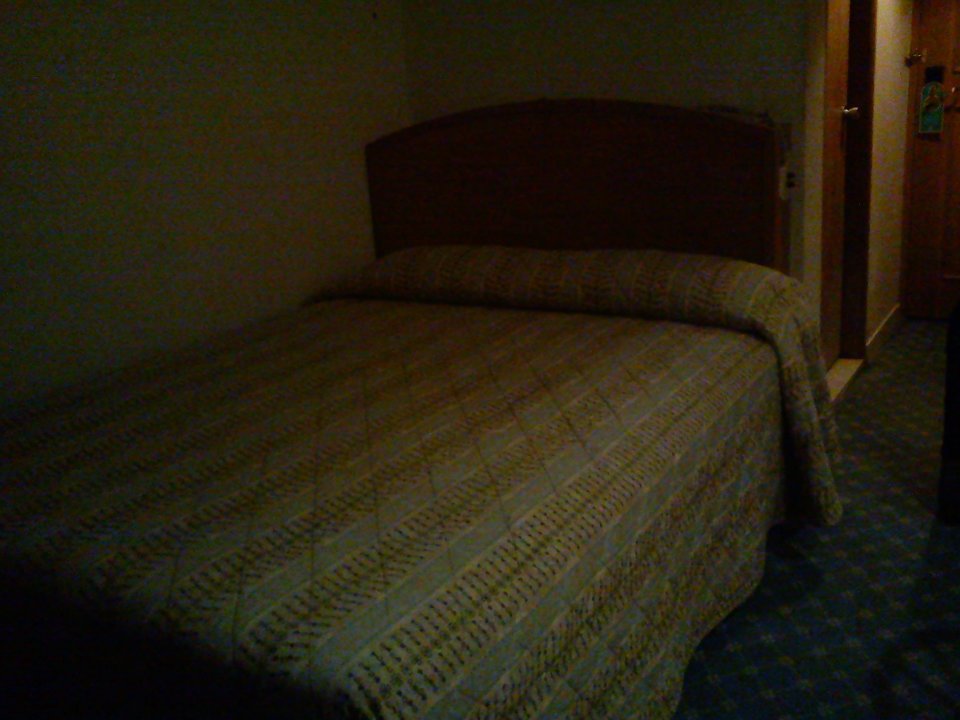 303450_10151073223808833_2085419949_n