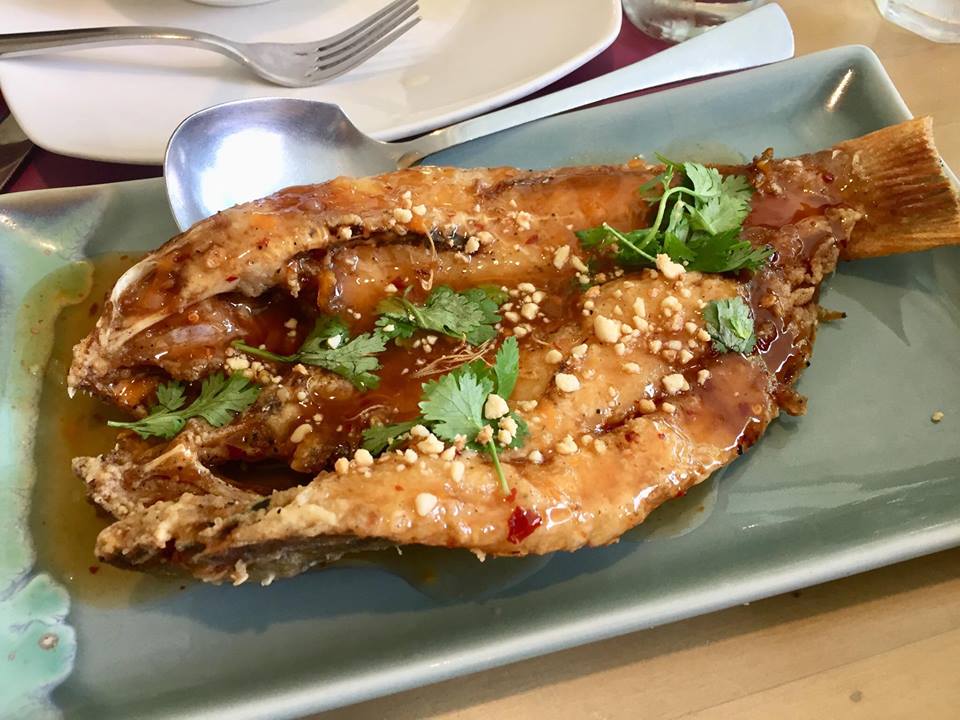 33367588_10156480639858833_5970815530049732608_n