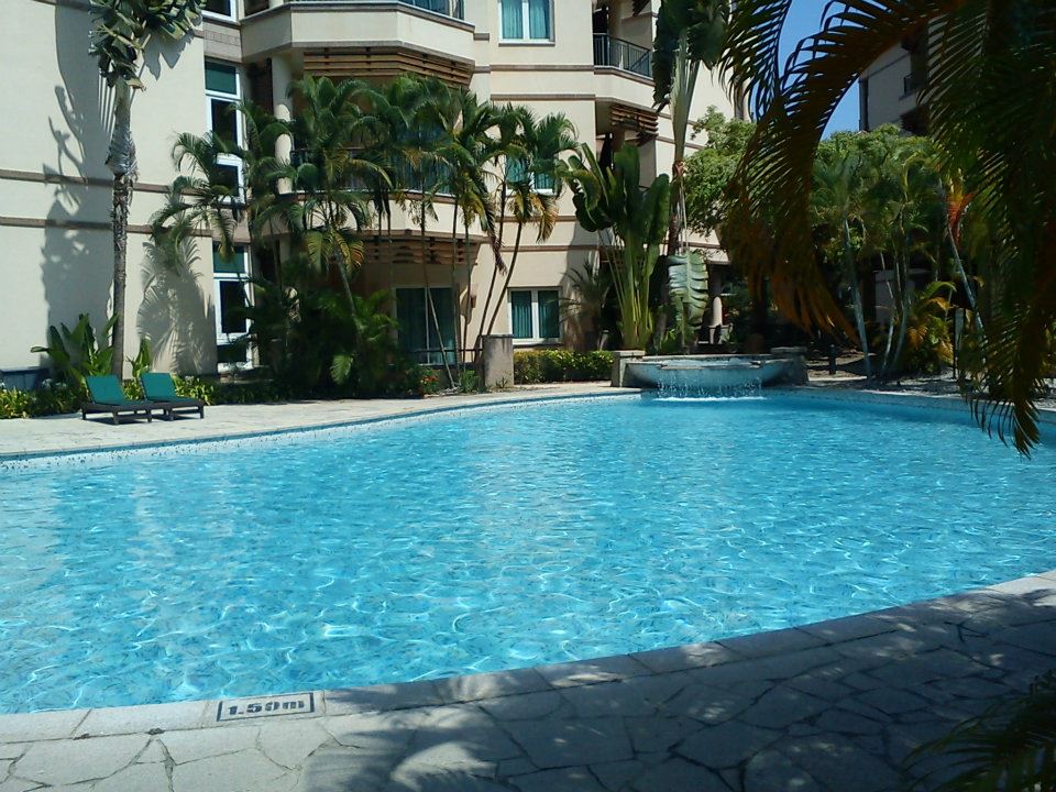 482505_10151086677063833_231576036_n