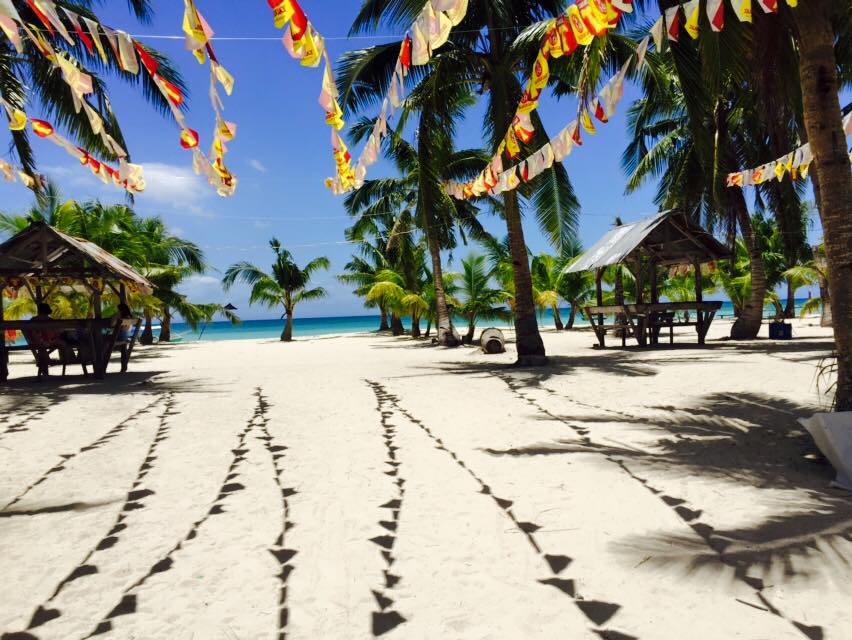 10690340_10153287297688833_4671622829126256233_n