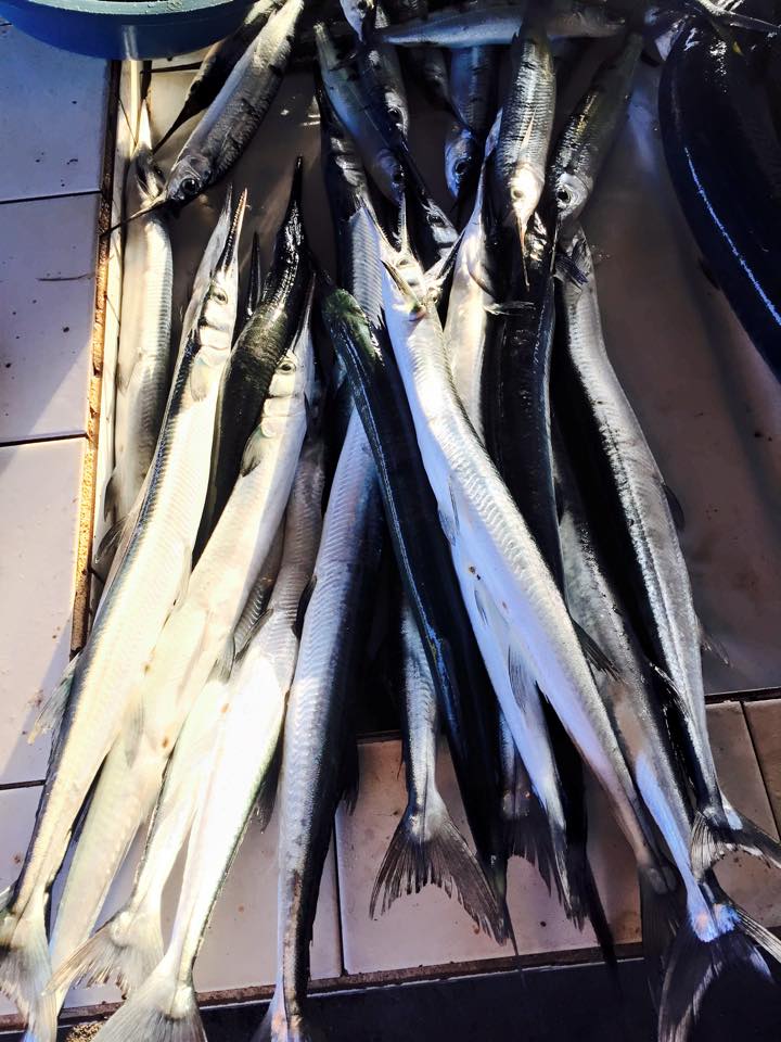 11052405_10153287561113833_4265989274009758238_n