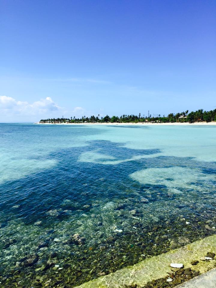 11062016_10153281246978833_7661880256422243895_n