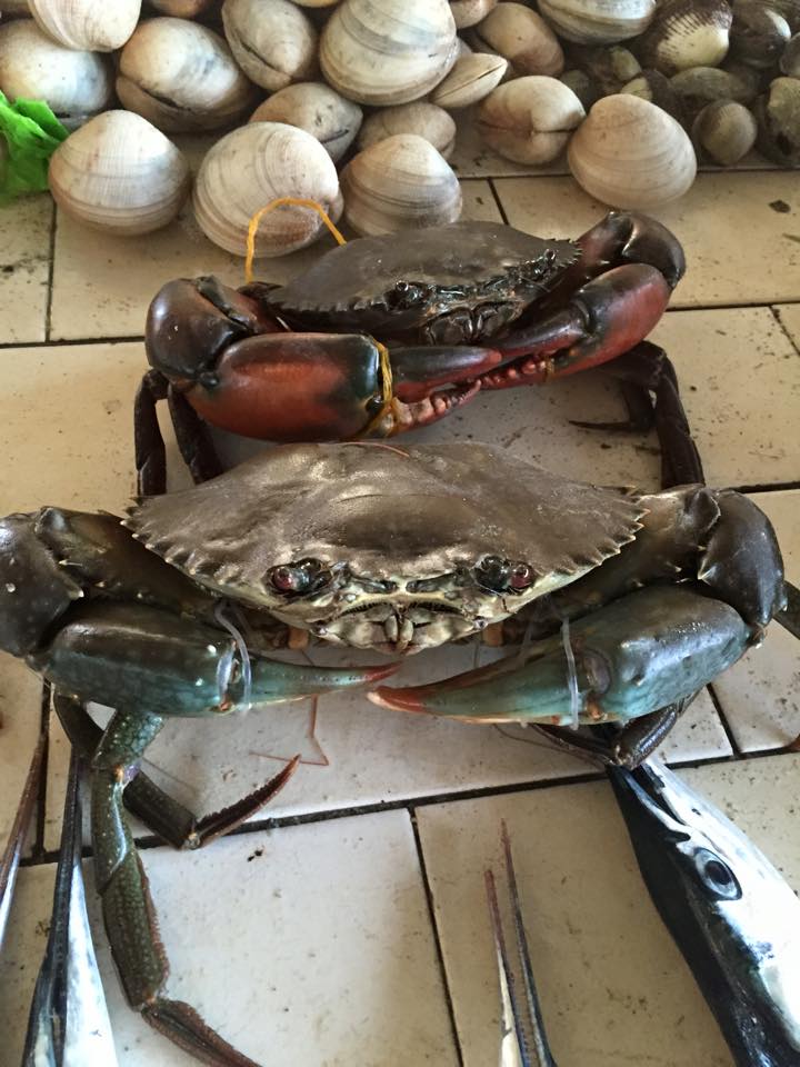 11081156_10153287560798833_5909138457714585457_n