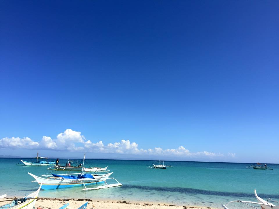 11089029_10153287296713833_3755444019688388138_n