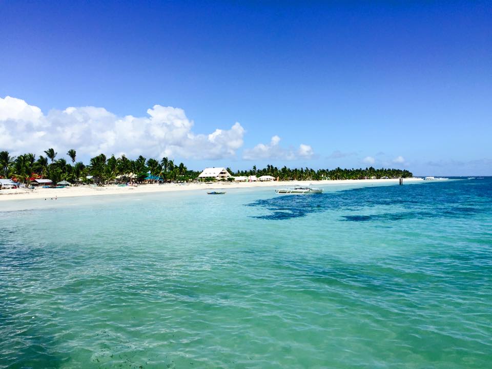 11136728_10153281244973833_5308963346510512683_n