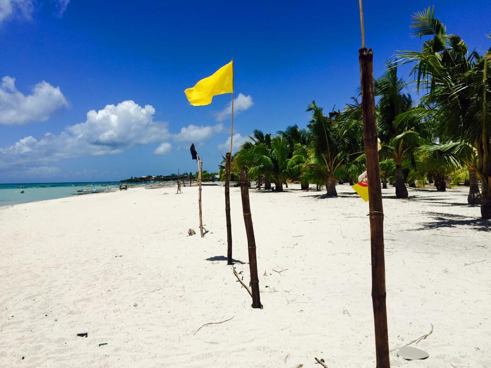 11156386_10153287296428833_4564210559106628522_n