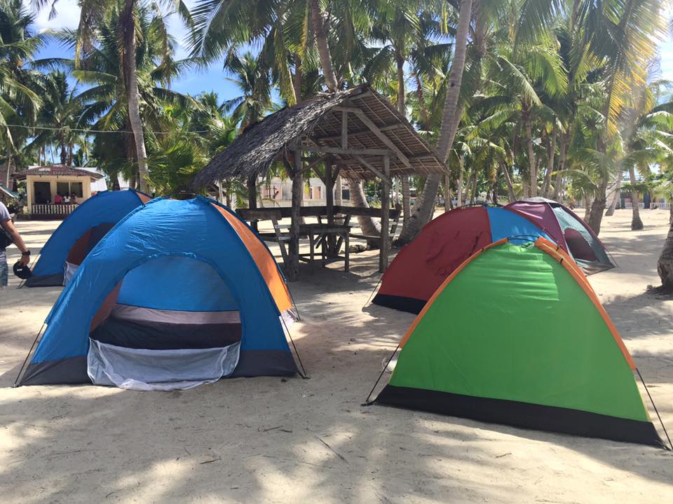 11391263_10153449454013833_4242614183807869039_n