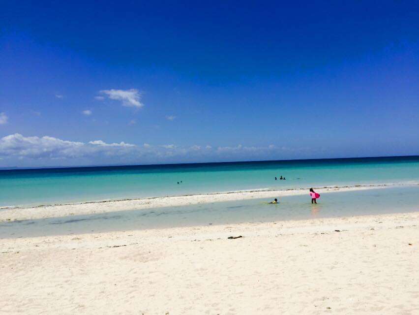 1962785_10153287296313833_6588145508553916720_n