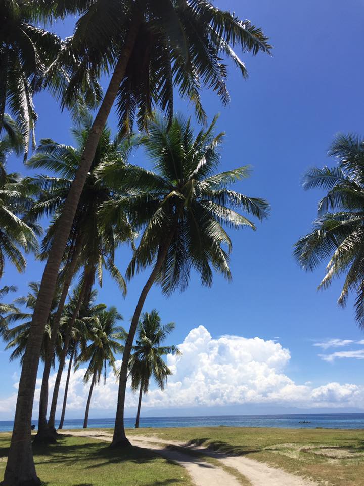 17992124_10155282684768833_8523847085469357351_n