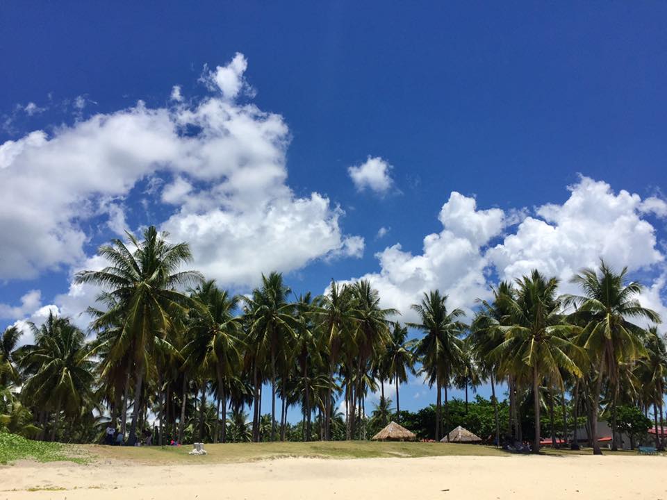 18119326_10155282684788833_7888215162142032624_n