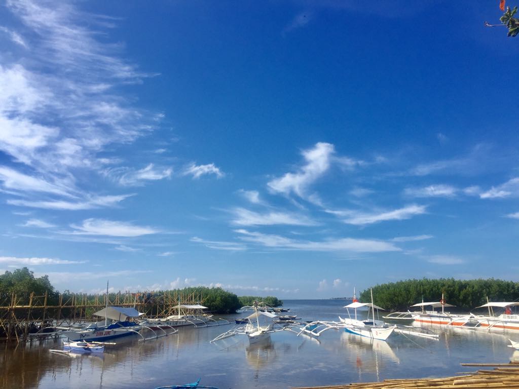 45479894_2187781634793825_351421508423254016_n