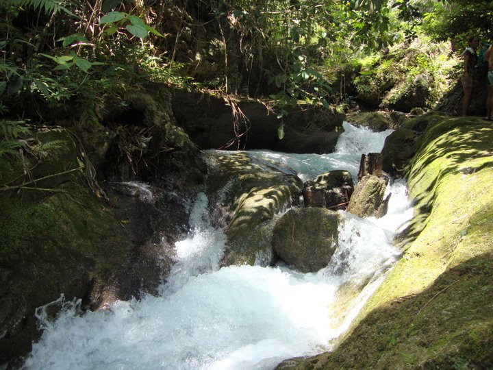 206996_10150231206323833_5262467_n