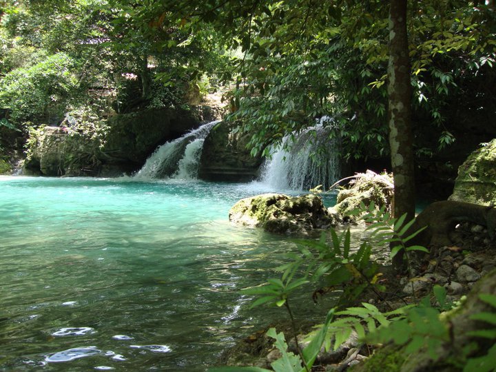 208576_10150231208203833_604495_n