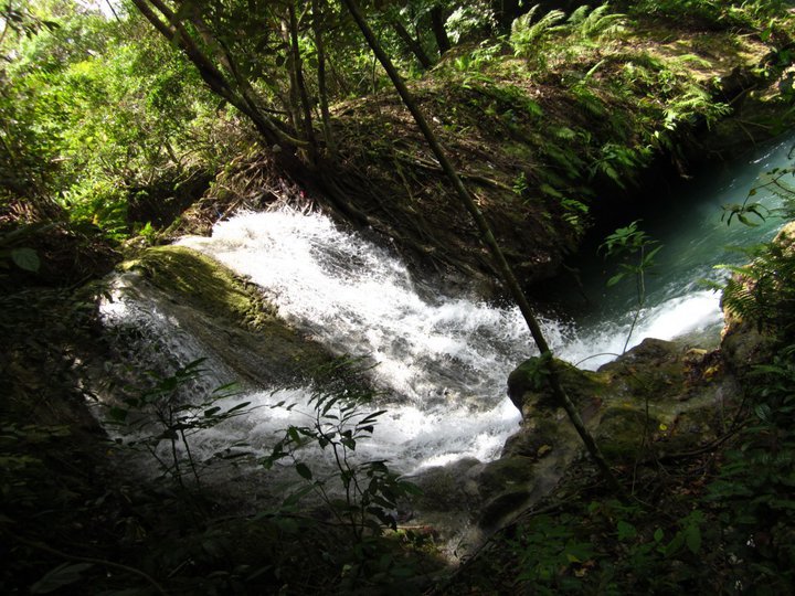 216725_10150233583678833_1104520_n