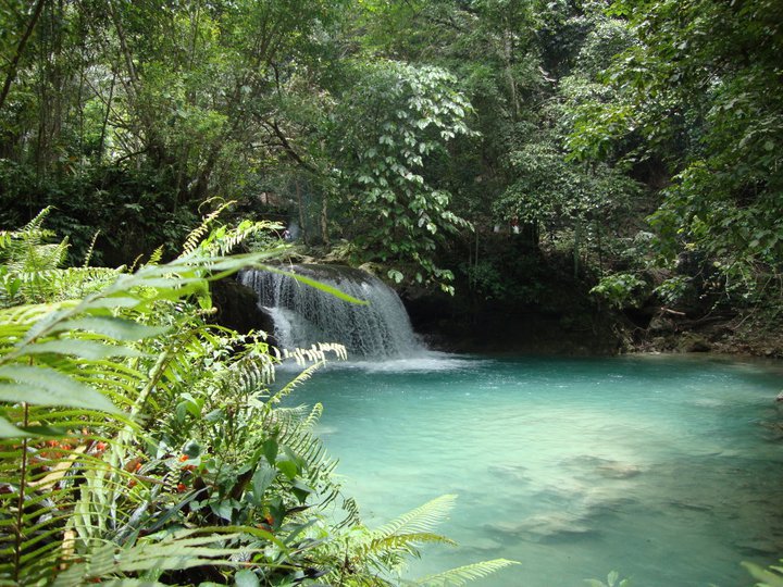 216795_10150231208443833_1284973_n