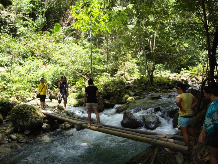 217442_10150231208653833_8257023_n