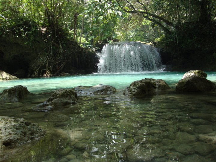 217526_10150231208598833_8131885_n