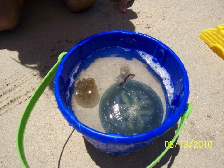 23328_448878093832_7921640_n