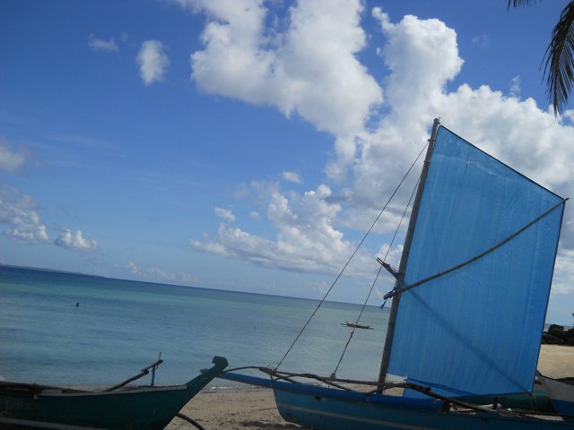 23328_448880563832_6811284_n