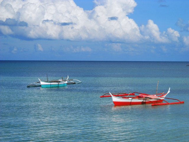 23328_448880743832_6689094_n