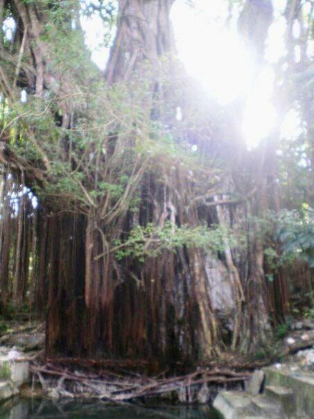 51603054_284636998895609_800544825521733632_n