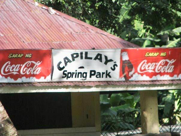 51703069_299170697461234_7348516600519065600_n