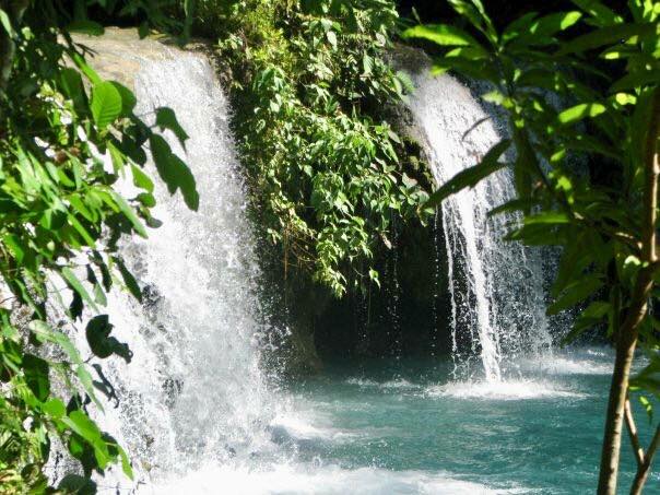 51854125_306644259894022_8645301371895021568_n