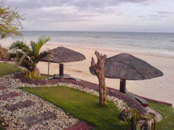 51940889_786414235066187_4397561725260398592_n