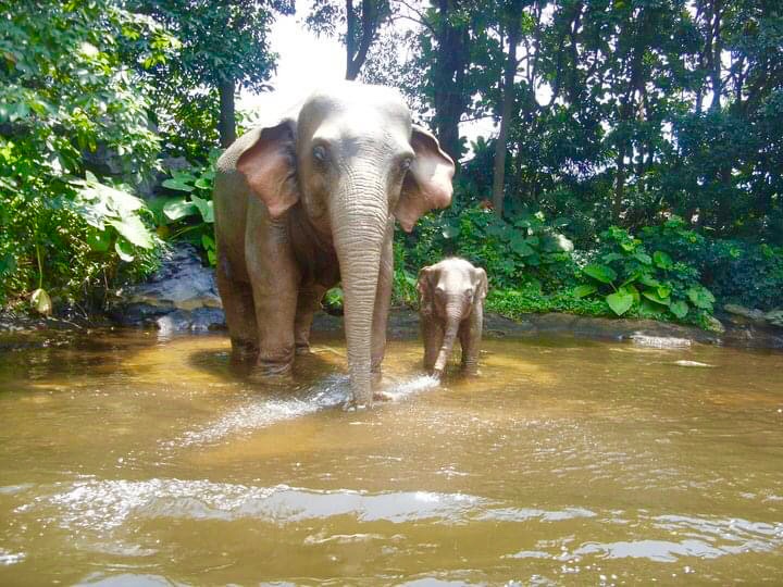 Photo 25-07-2020, 7 01 33 PM