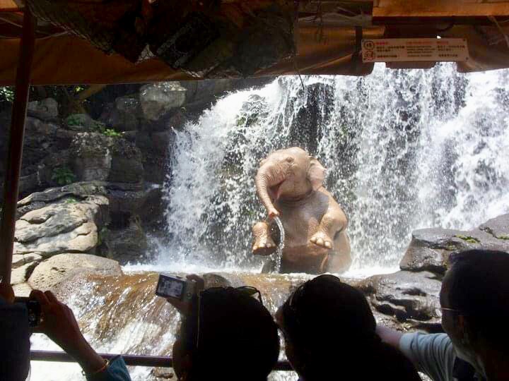 Photo 25-07-2020, 7 01 36 PM