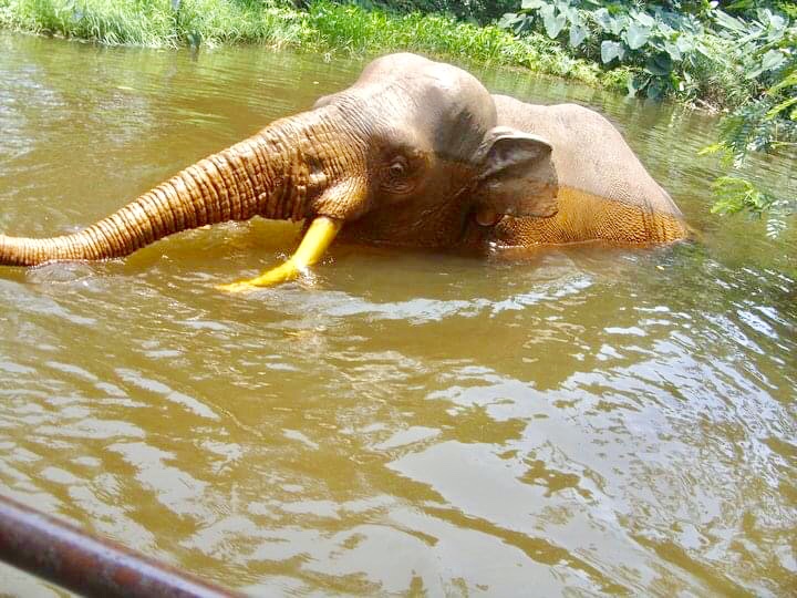 Photo 25-07-2020, 7 01 39 PM