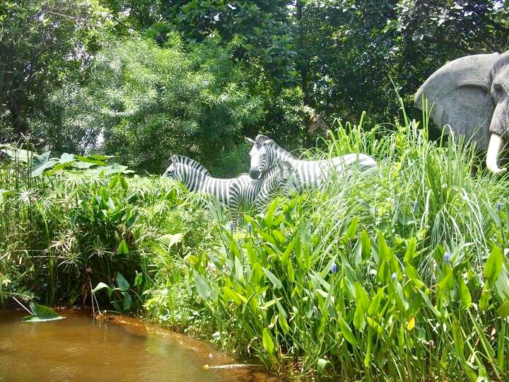 Photo 25-07-2020, 7 01 42 PM