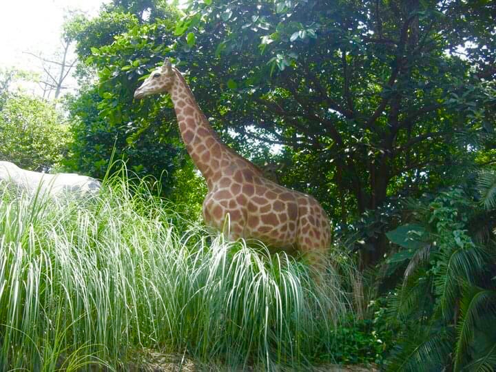 Photo 25-07-2020, 7 01 46 PM