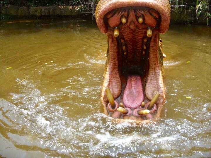 Photo 25-07-2020, 7 01 49 PM