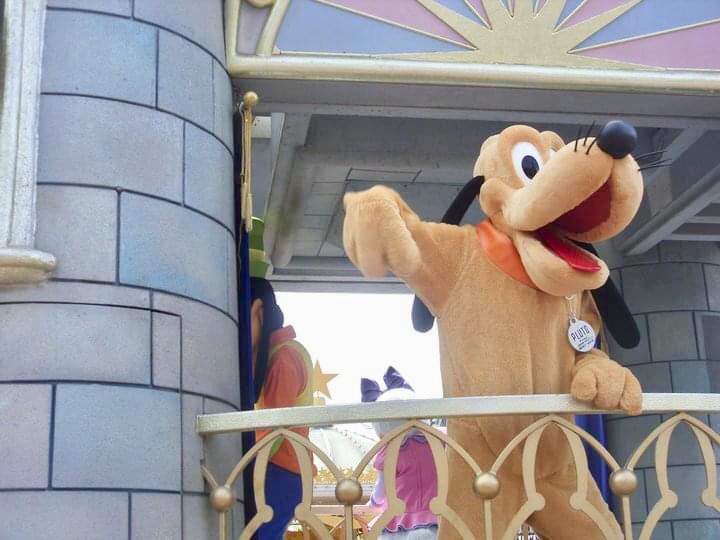 Photo 25-07-2020, 7 01 59 PM